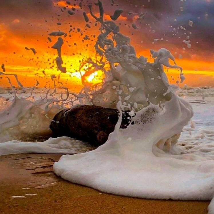 رامین نبی پور خرابه حال